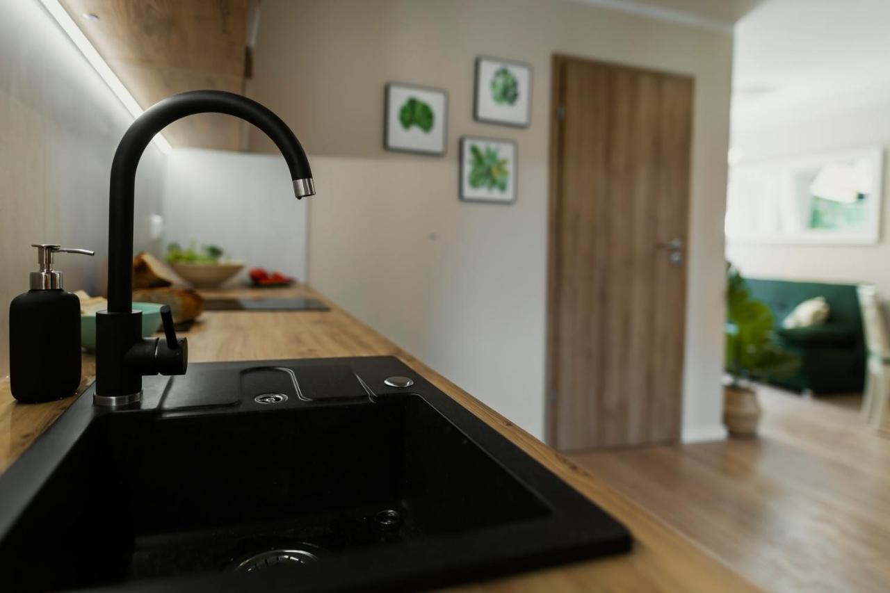 Apartamenty Willove Wzgorze Duszniki Zdrój 外观 照片