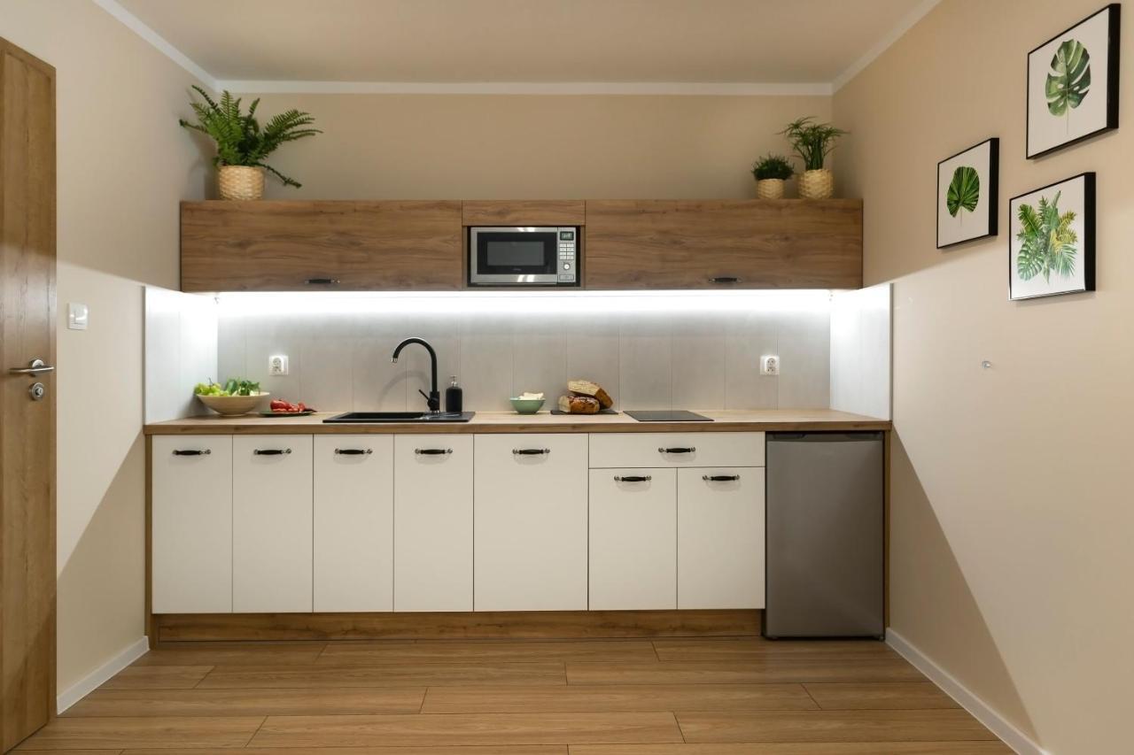 Apartamenty Willove Wzgorze Duszniki Zdrój 外观 照片