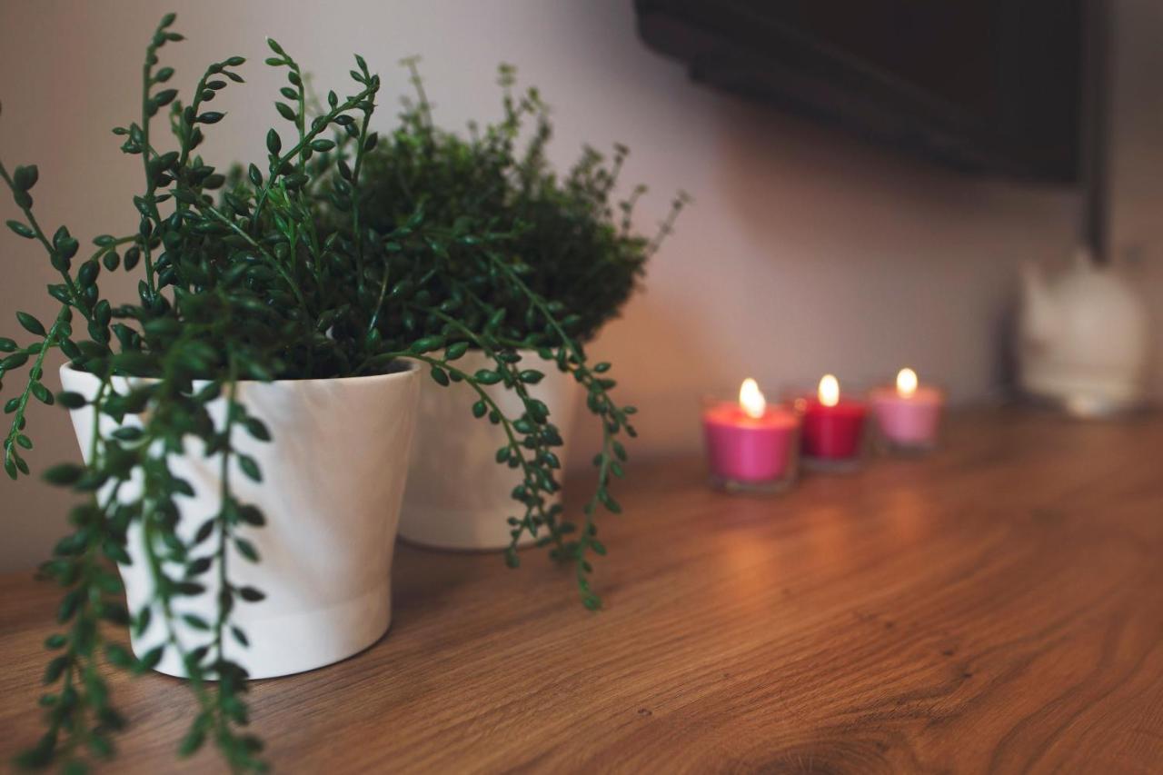 Apartamenty Willove Wzgorze Duszniki Zdrój 外观 照片